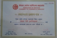 FNCCI-Certificate
